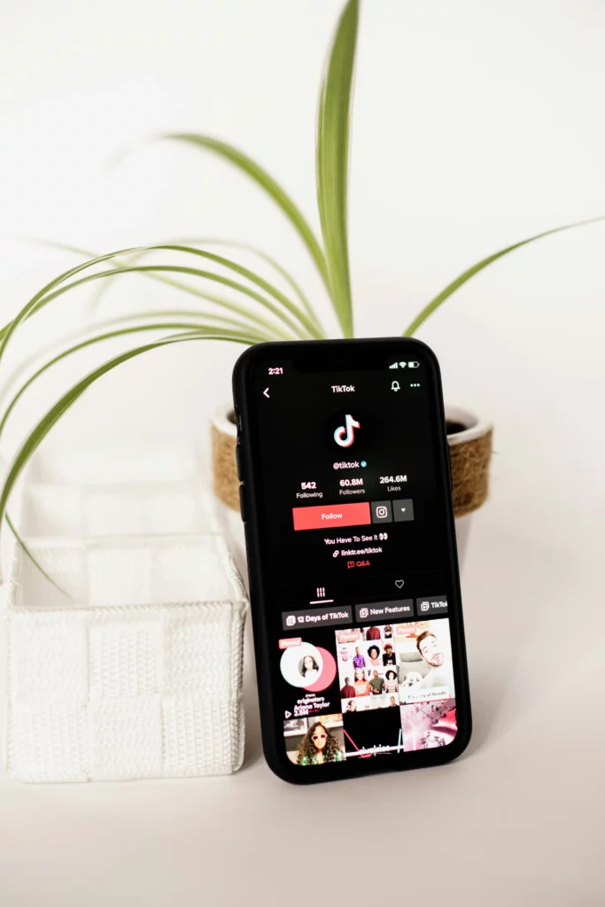 TikTok focus on entertainment