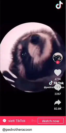 TikTok Ad Awards 2024: Najlepšia reklama roka